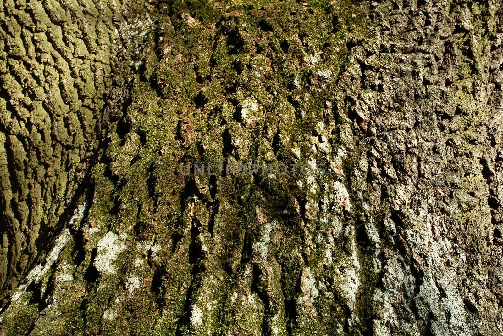 Natural artwork