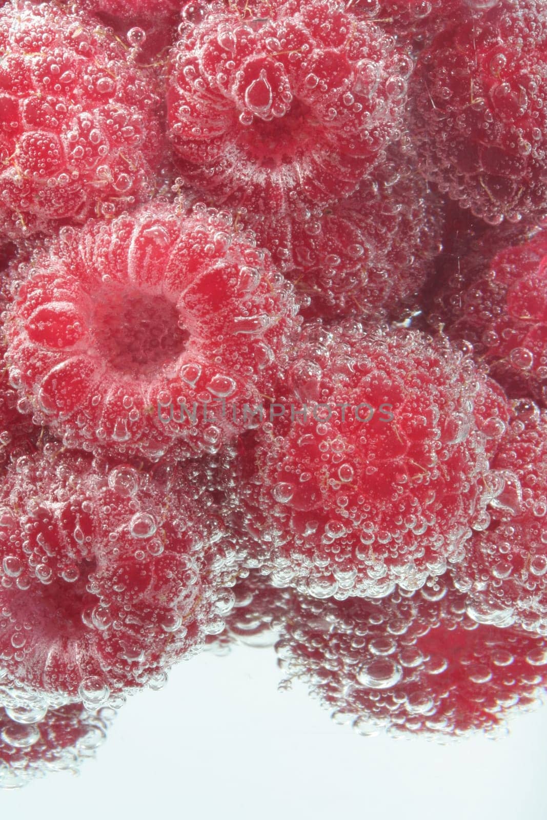 Raspberry Shower II