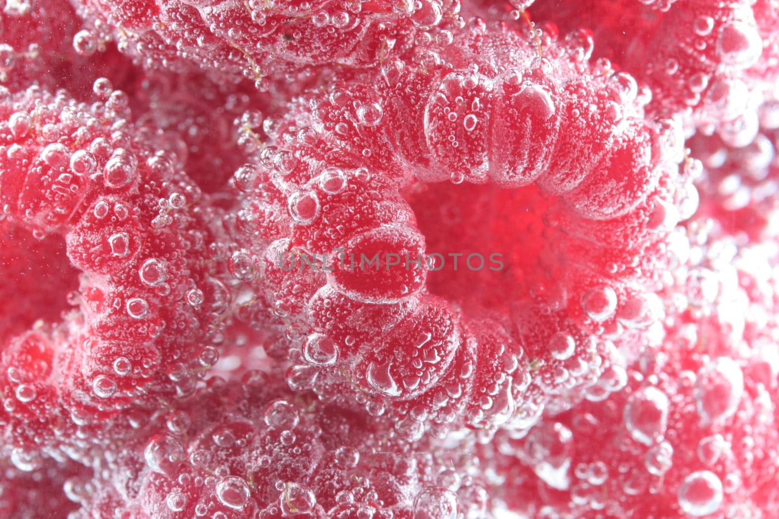 Raspberry Shower I