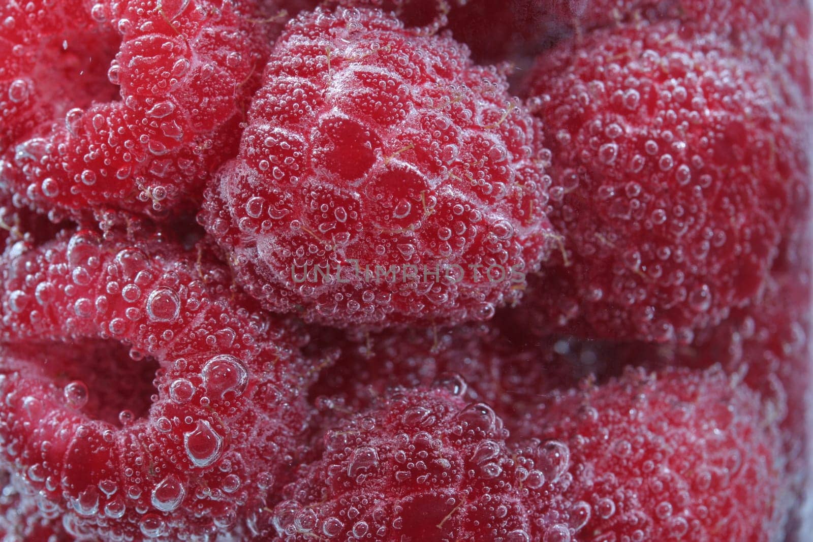Raspberry Shower III