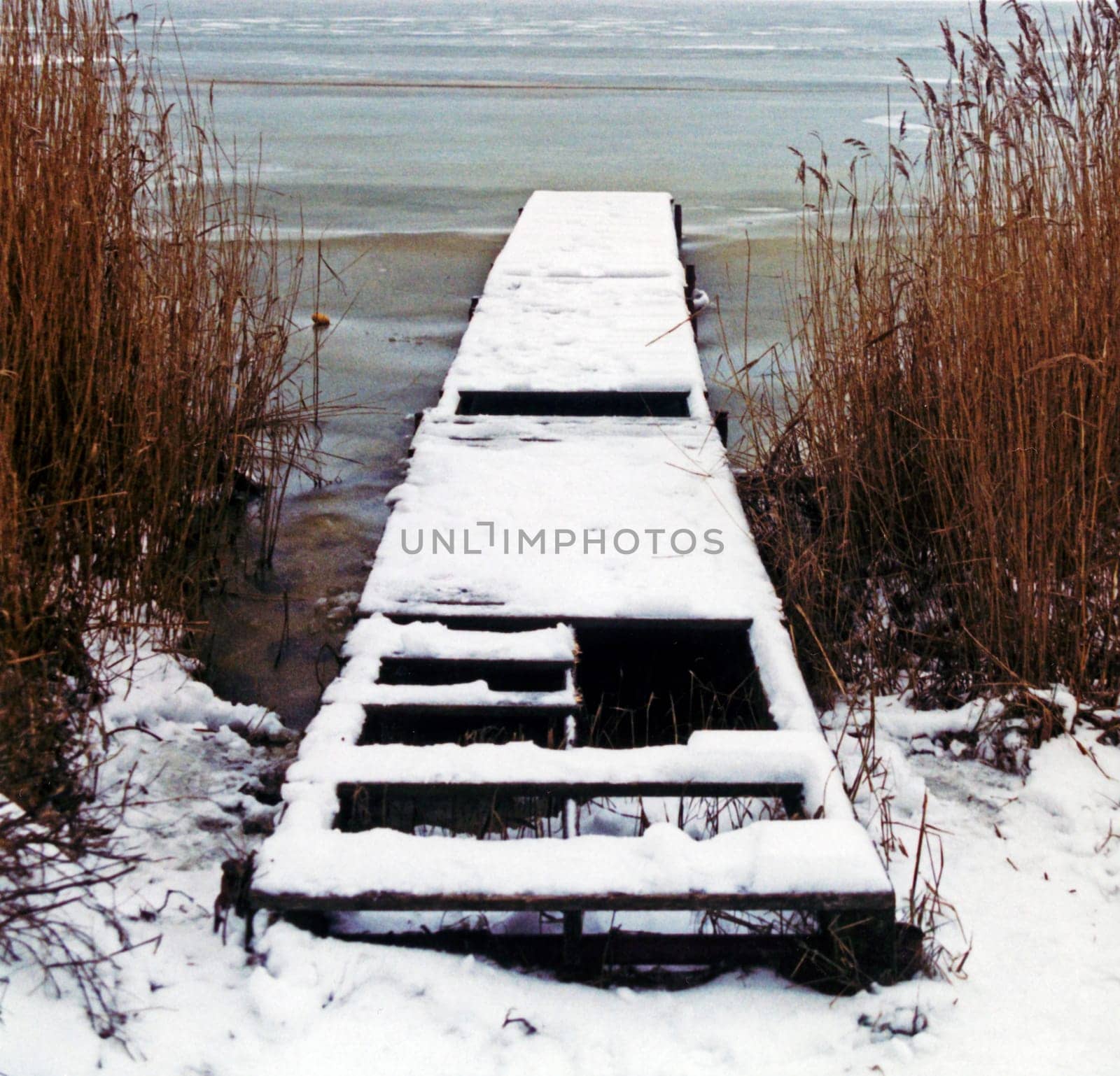 To the lake