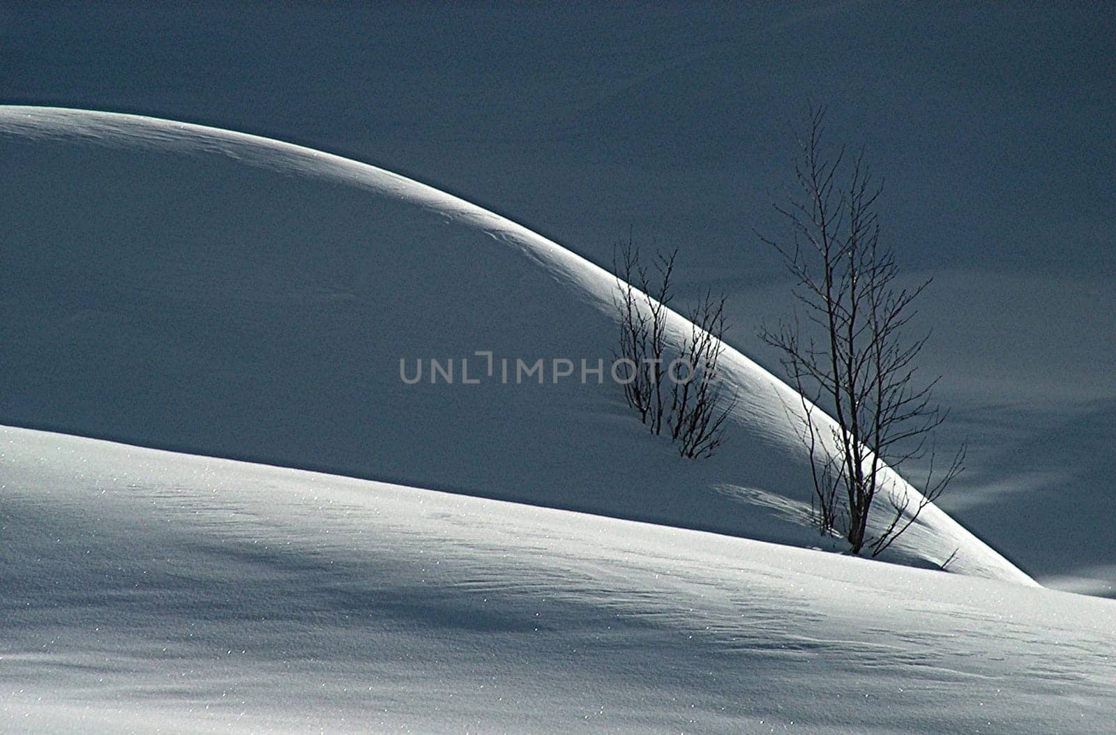 winter or winter snow or winter ice or winter deep snow