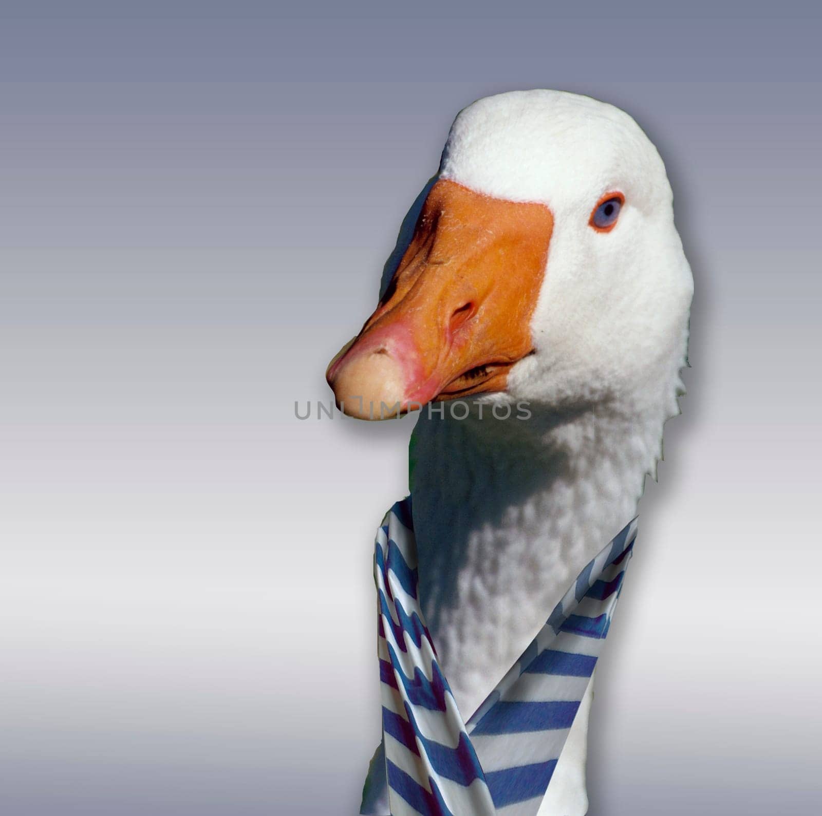 Avian influenza