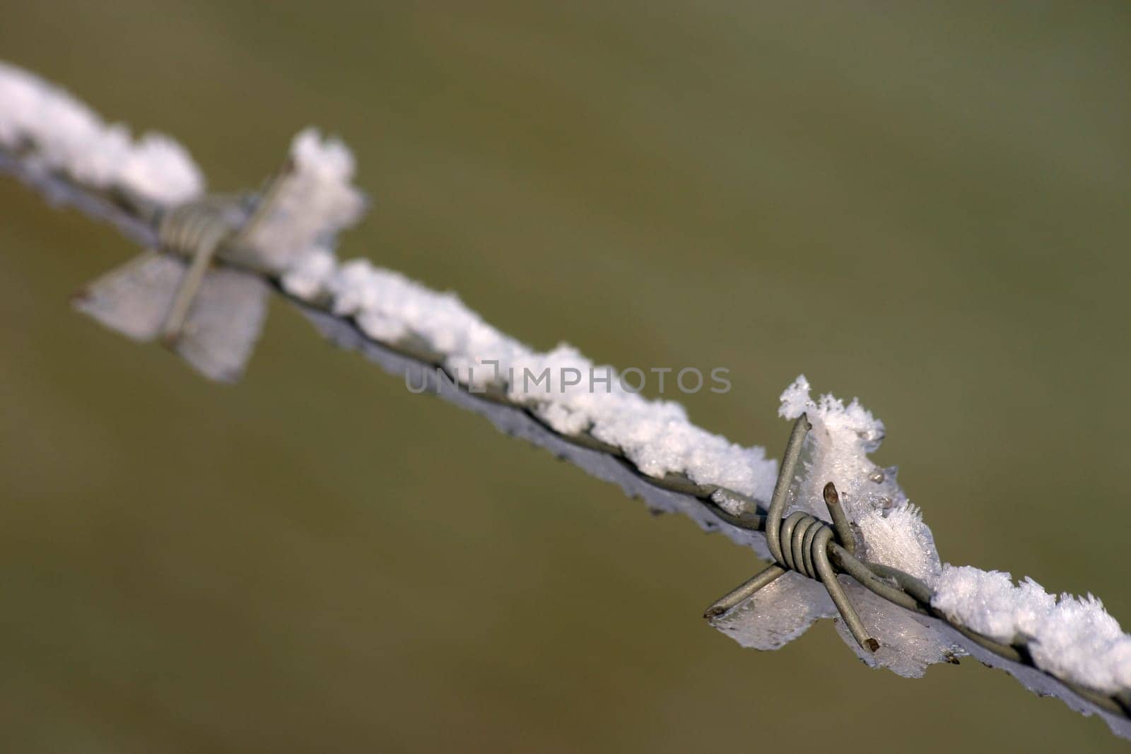 Detail of a barbed wire fence in winter