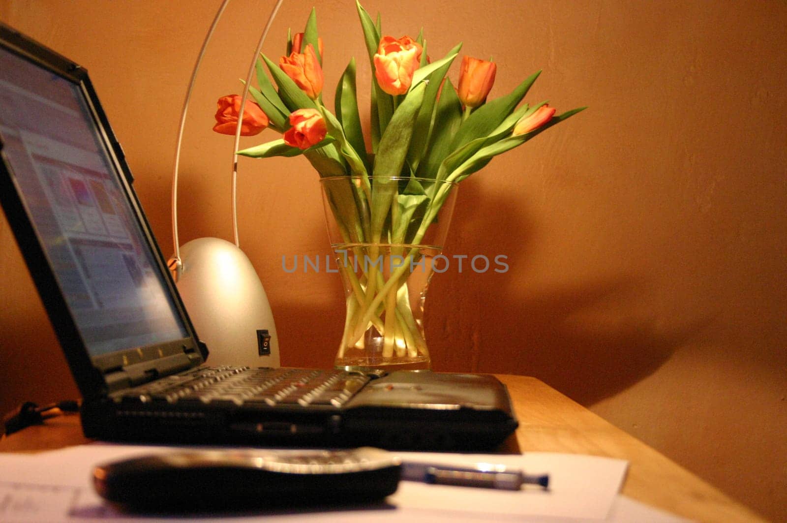 Admittedly,it's not always so tidy for me,I put some effort into the photos...:-)