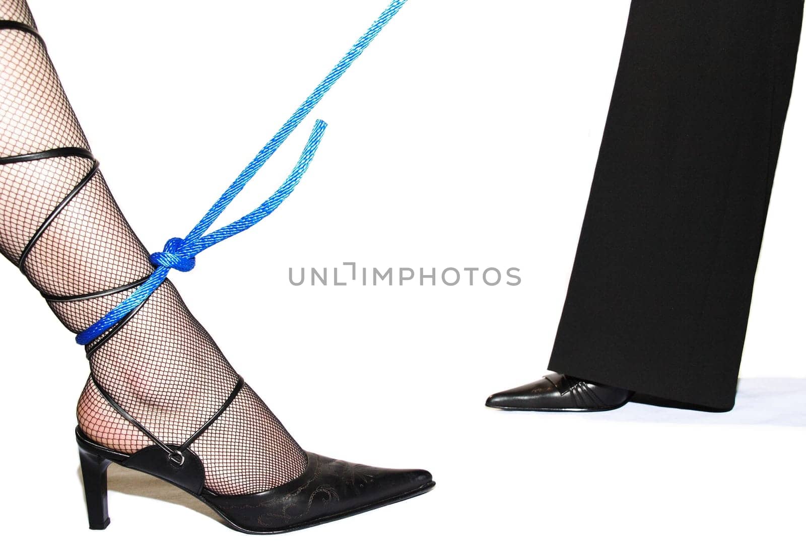 On a leash 1