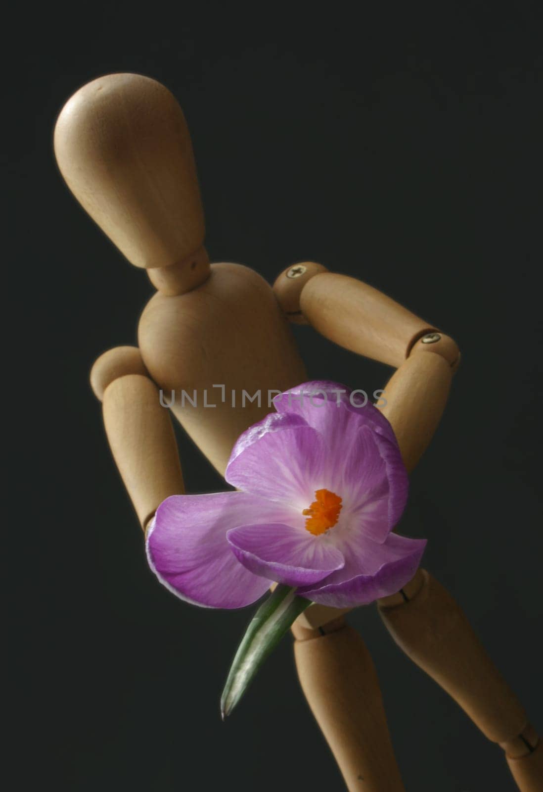 Harbinger of spring