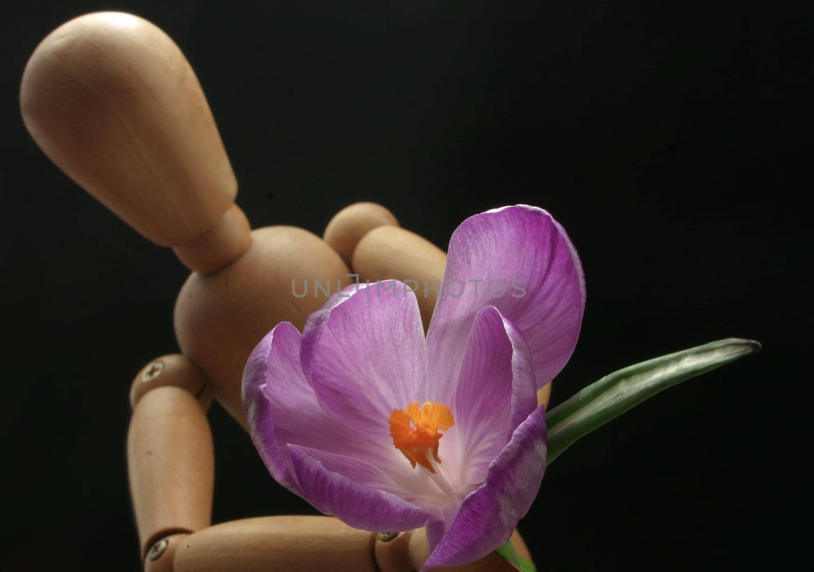 Giving flowers