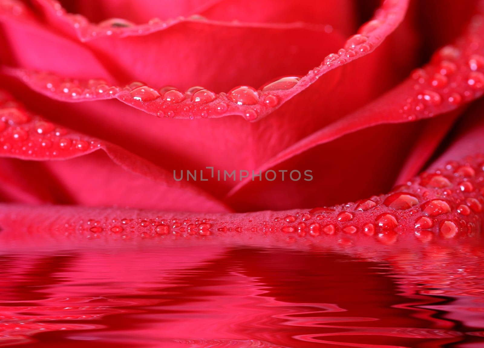 I've dealt with the water effect... here are my first results,hope you like it  )