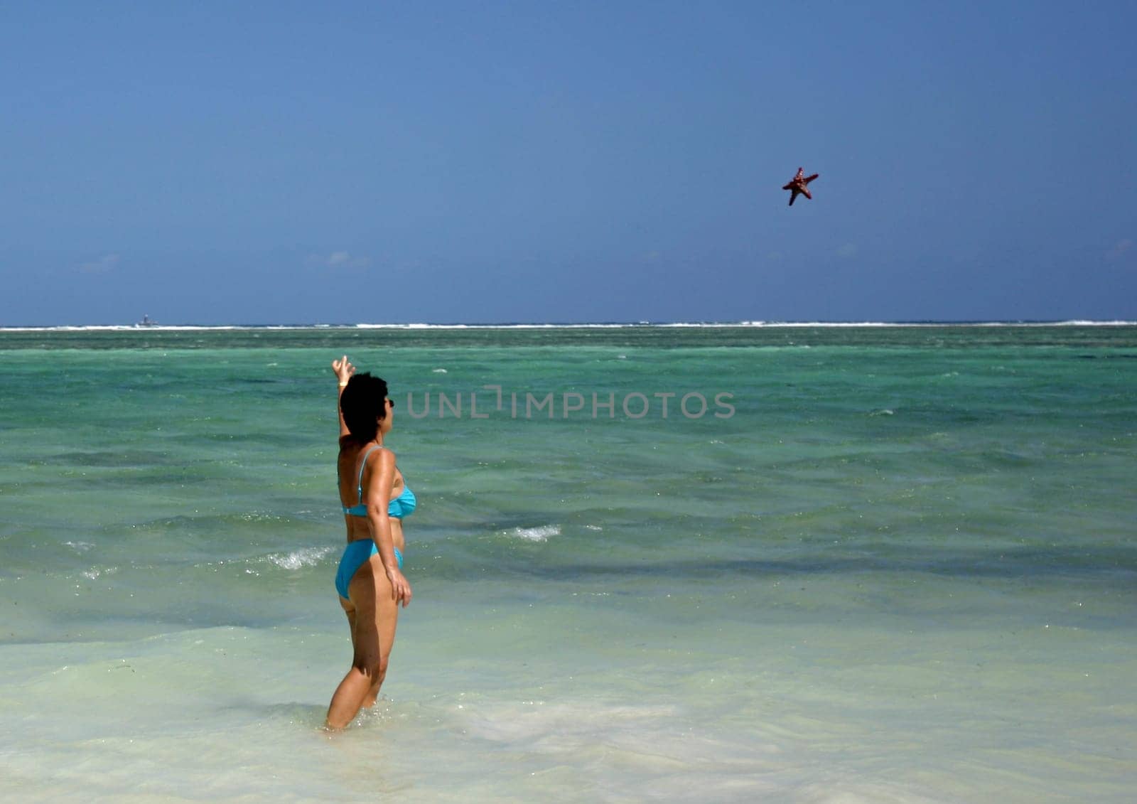 Starfish in flight