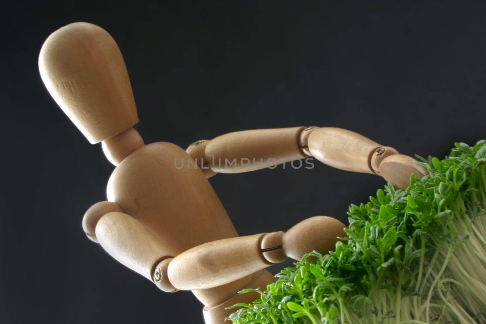 Crass cress