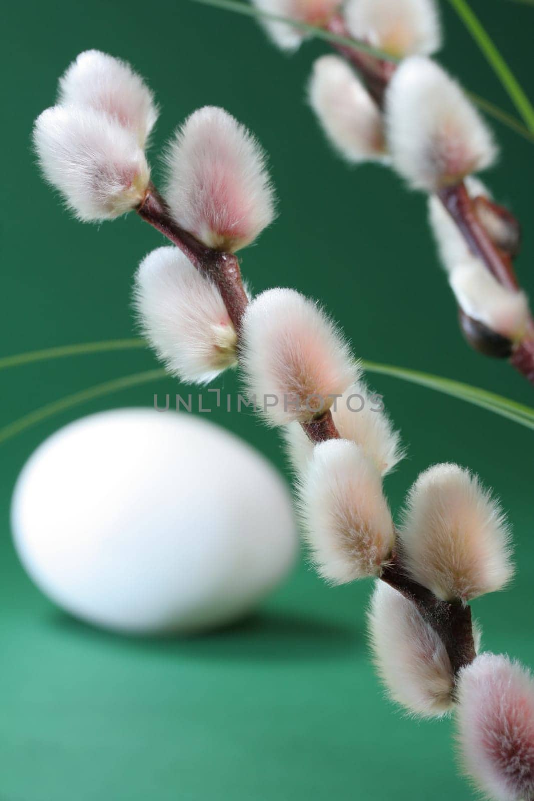fluffy Easter