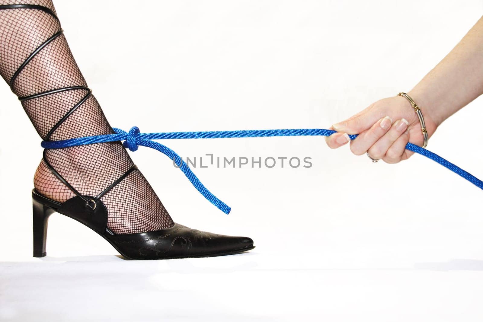On a leash 2