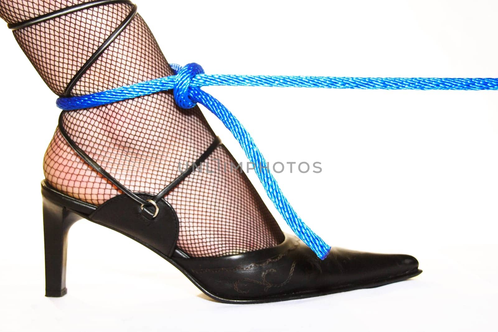 On a leash 5