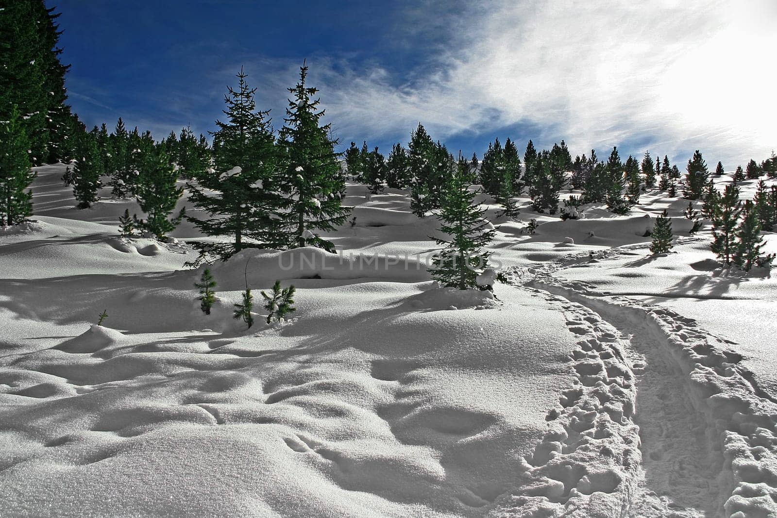 Snow hike