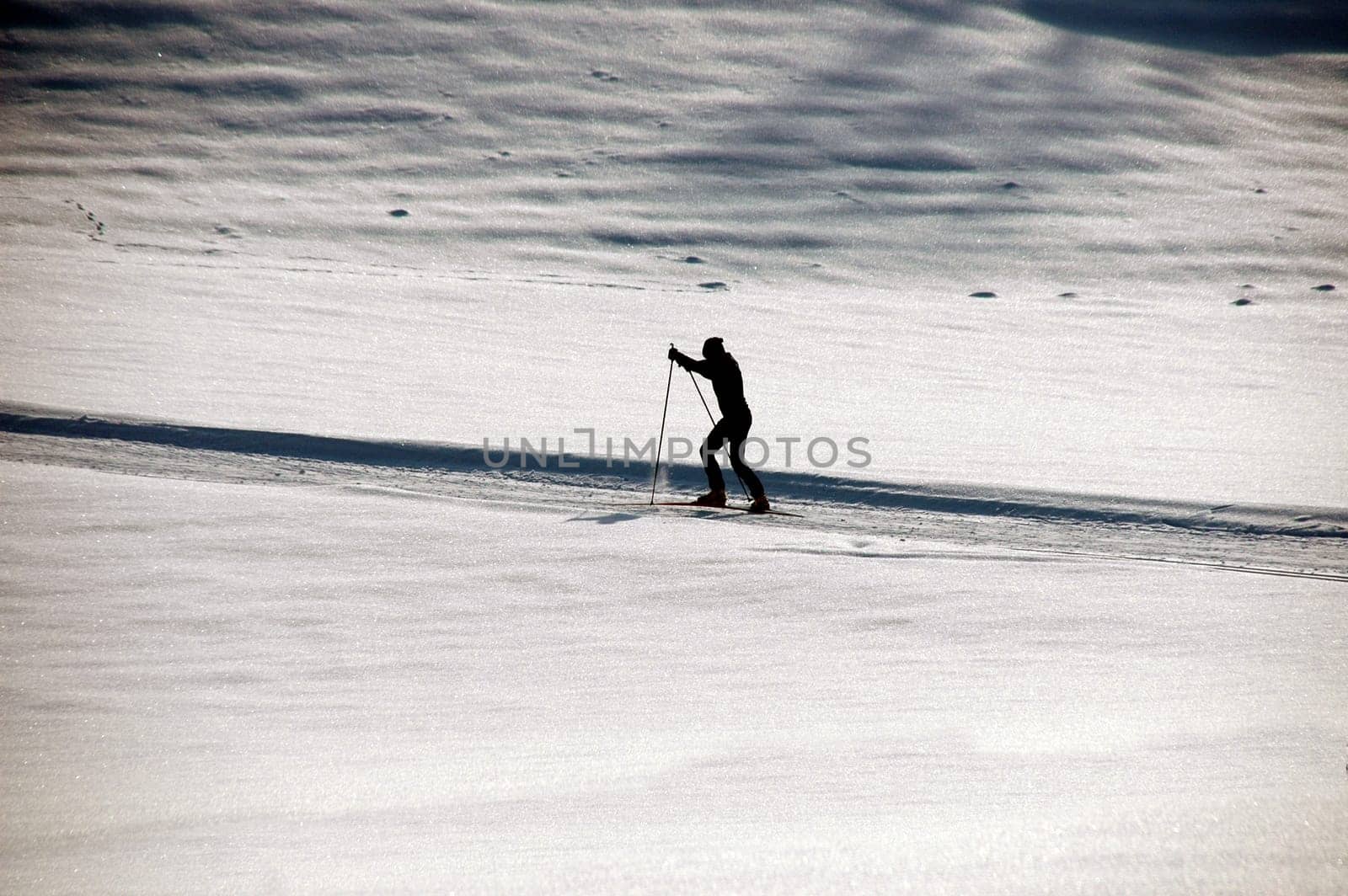 Cross-country skiers2