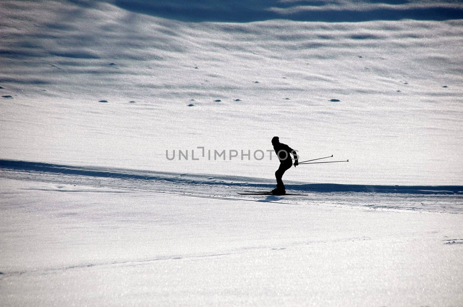 Skiers