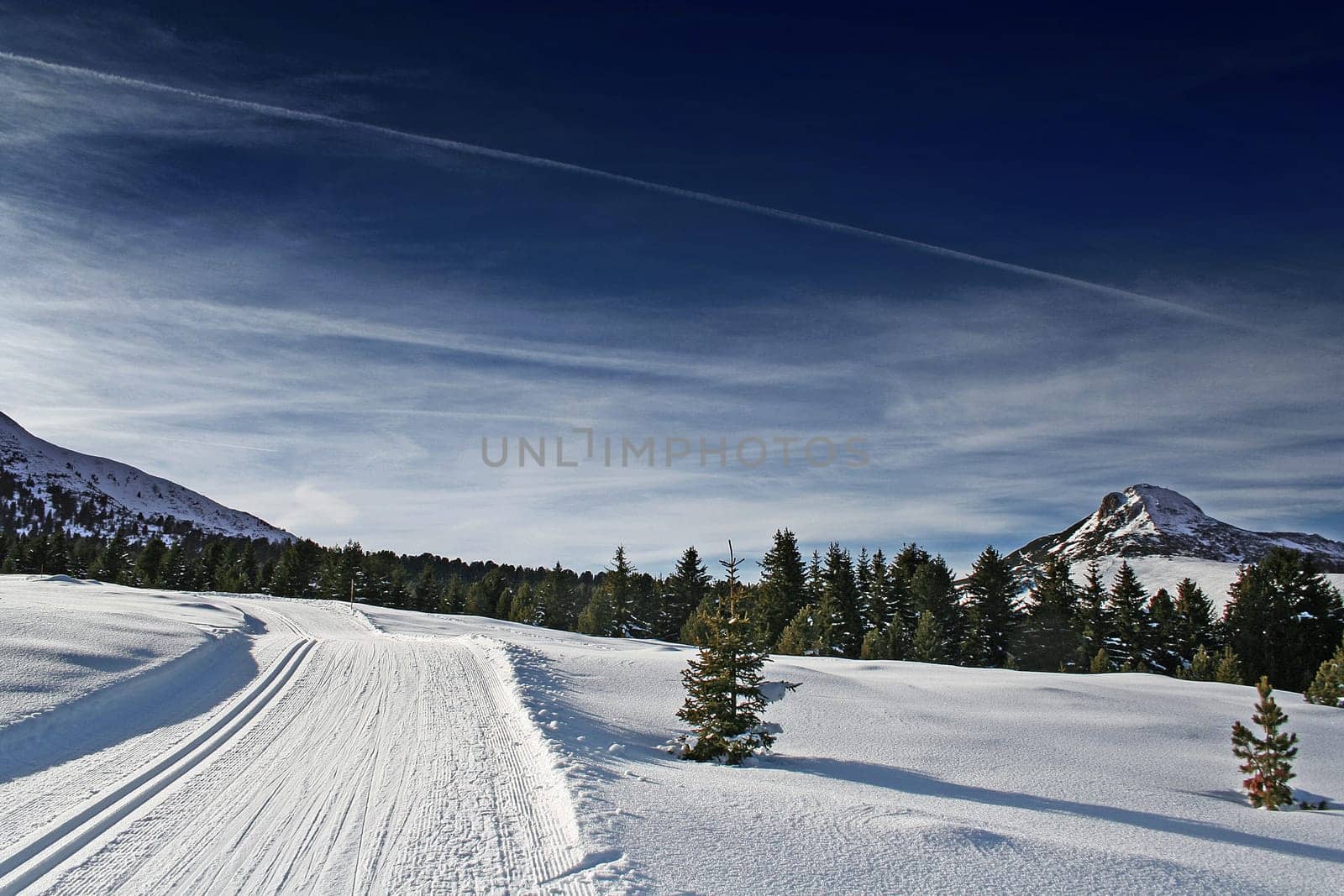 Cross-country ski trail