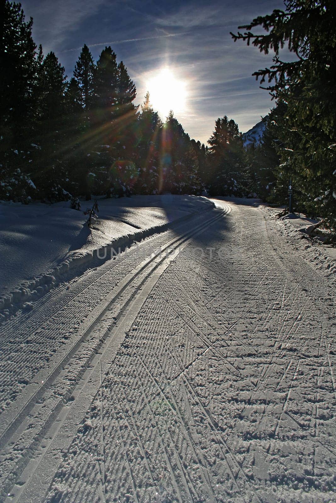 towards the sun...