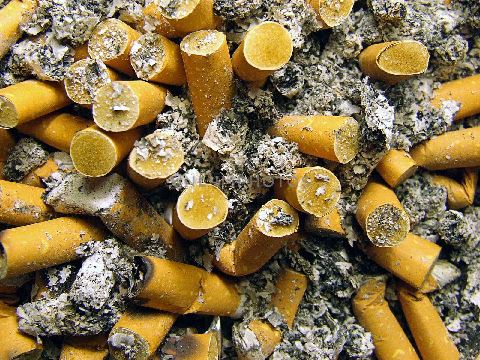 Ashtray Contents