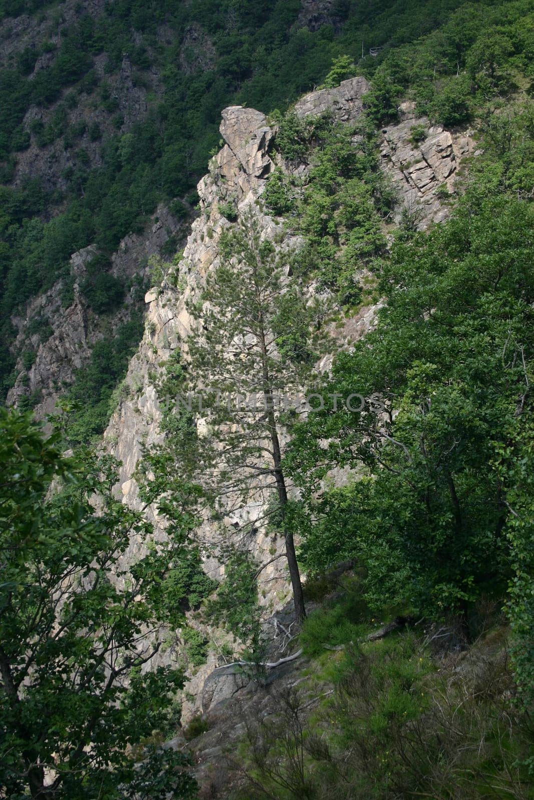 The wild and romantic Bode Valley in the Harz Mountains near Thale