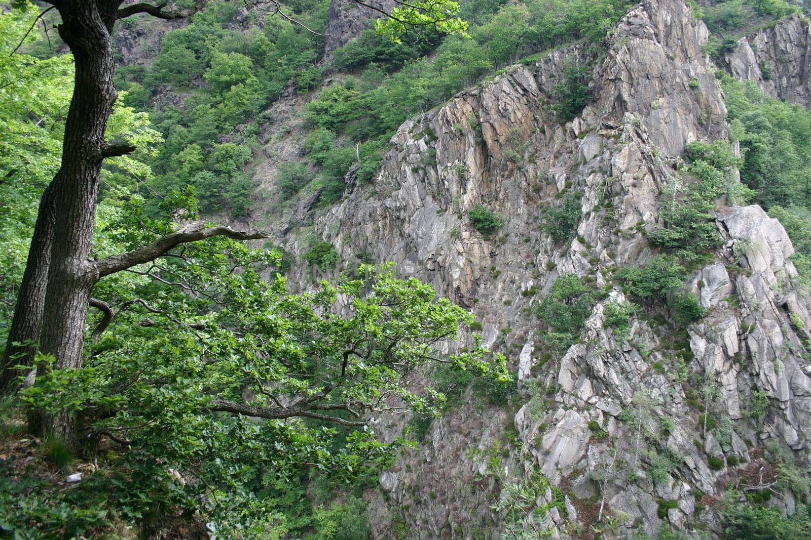 The wild and romantic Bode Valley in the Harz Mountains near Thale