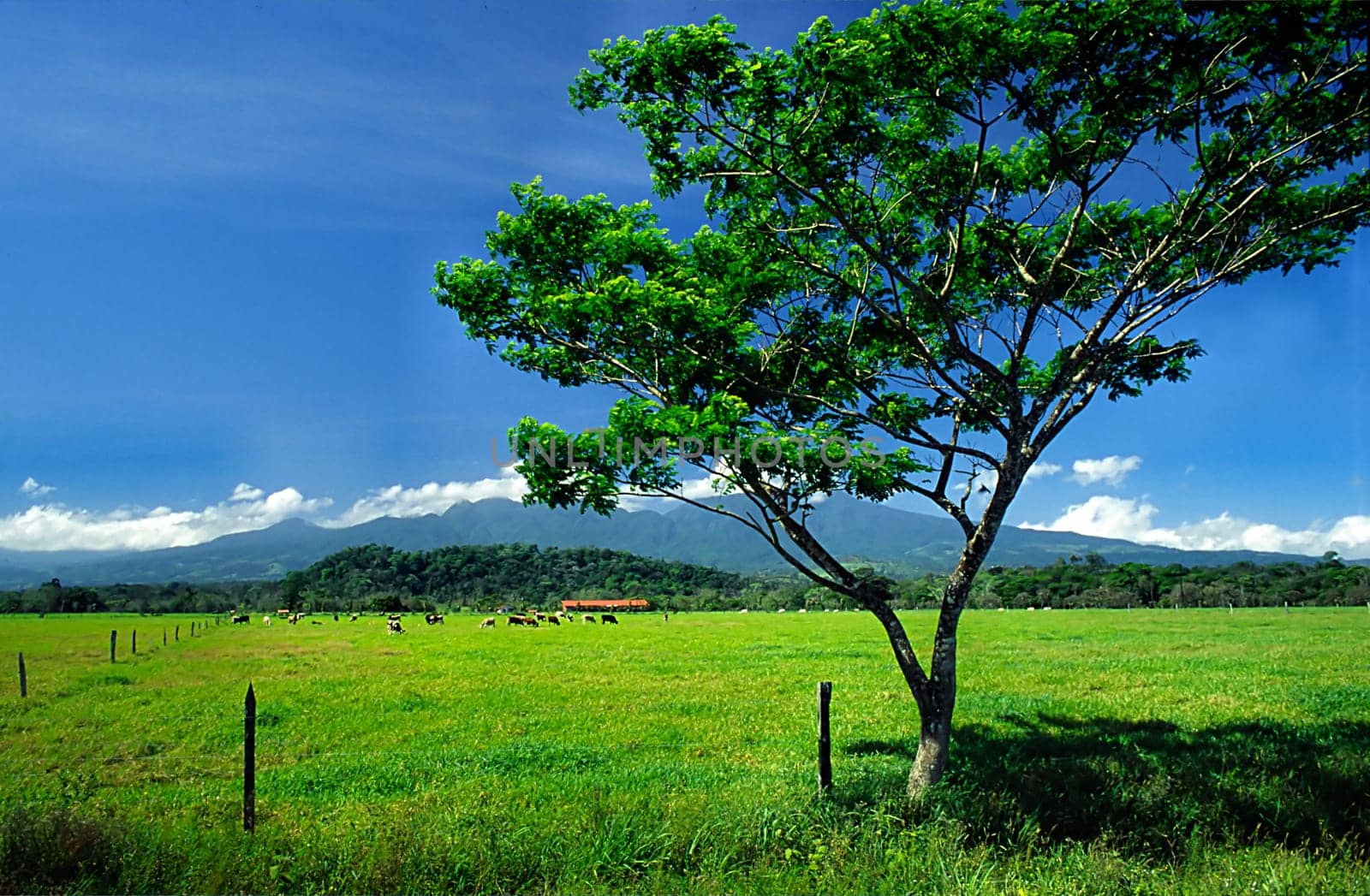 Central Highlands,Costa Rica