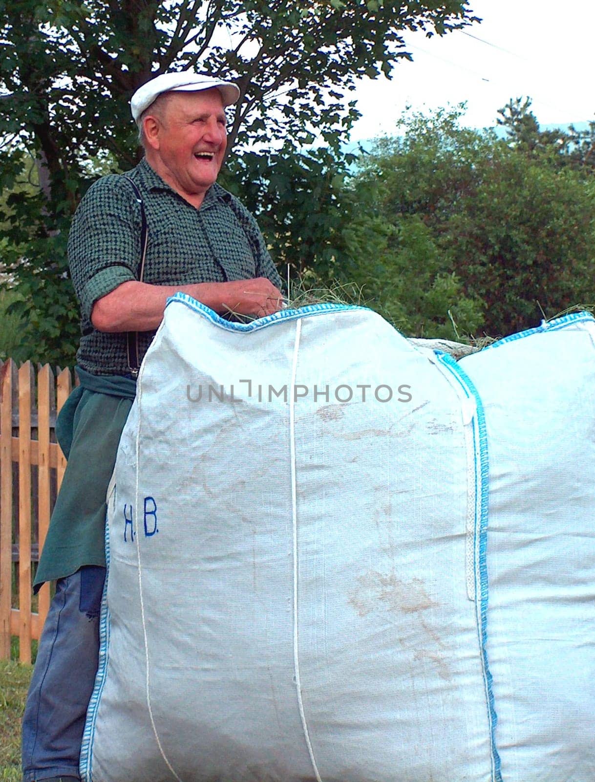 During the hay harvest