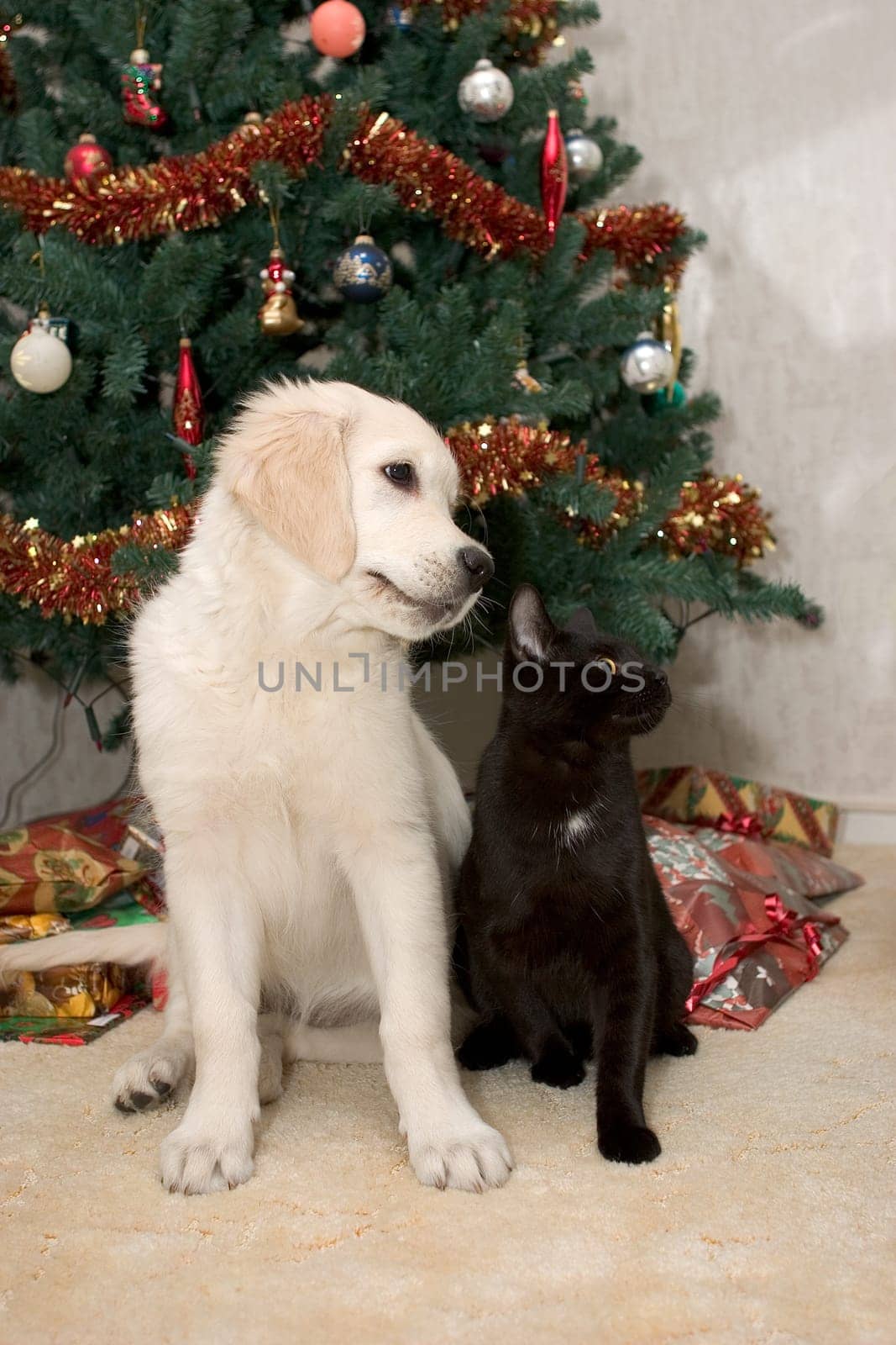 FRIENDS