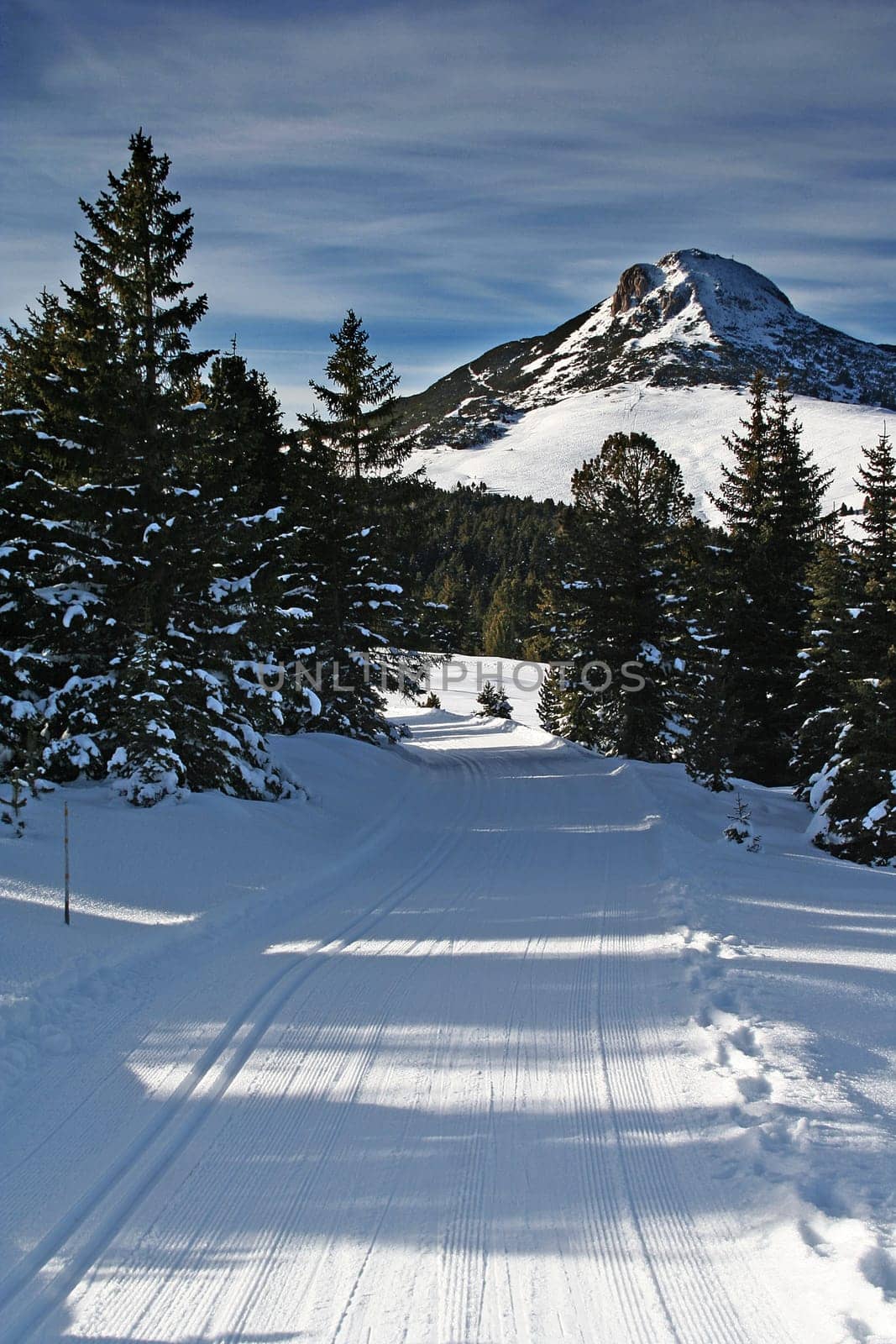 Schwarzhorn