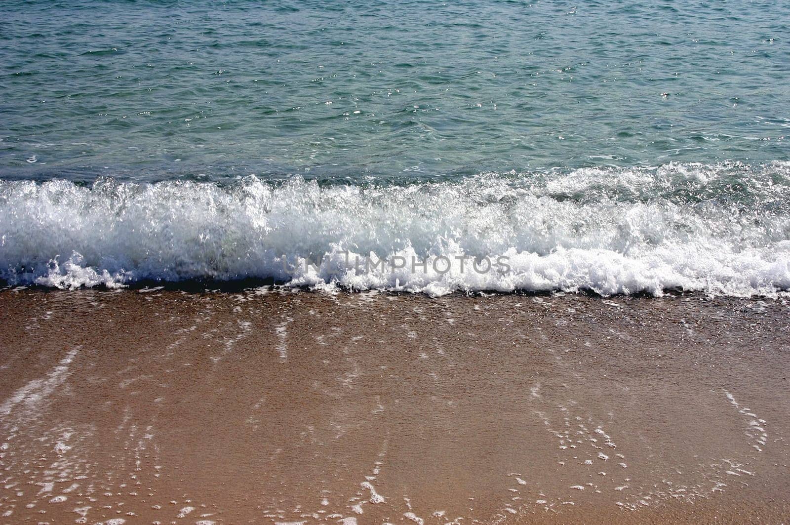 Surf 2