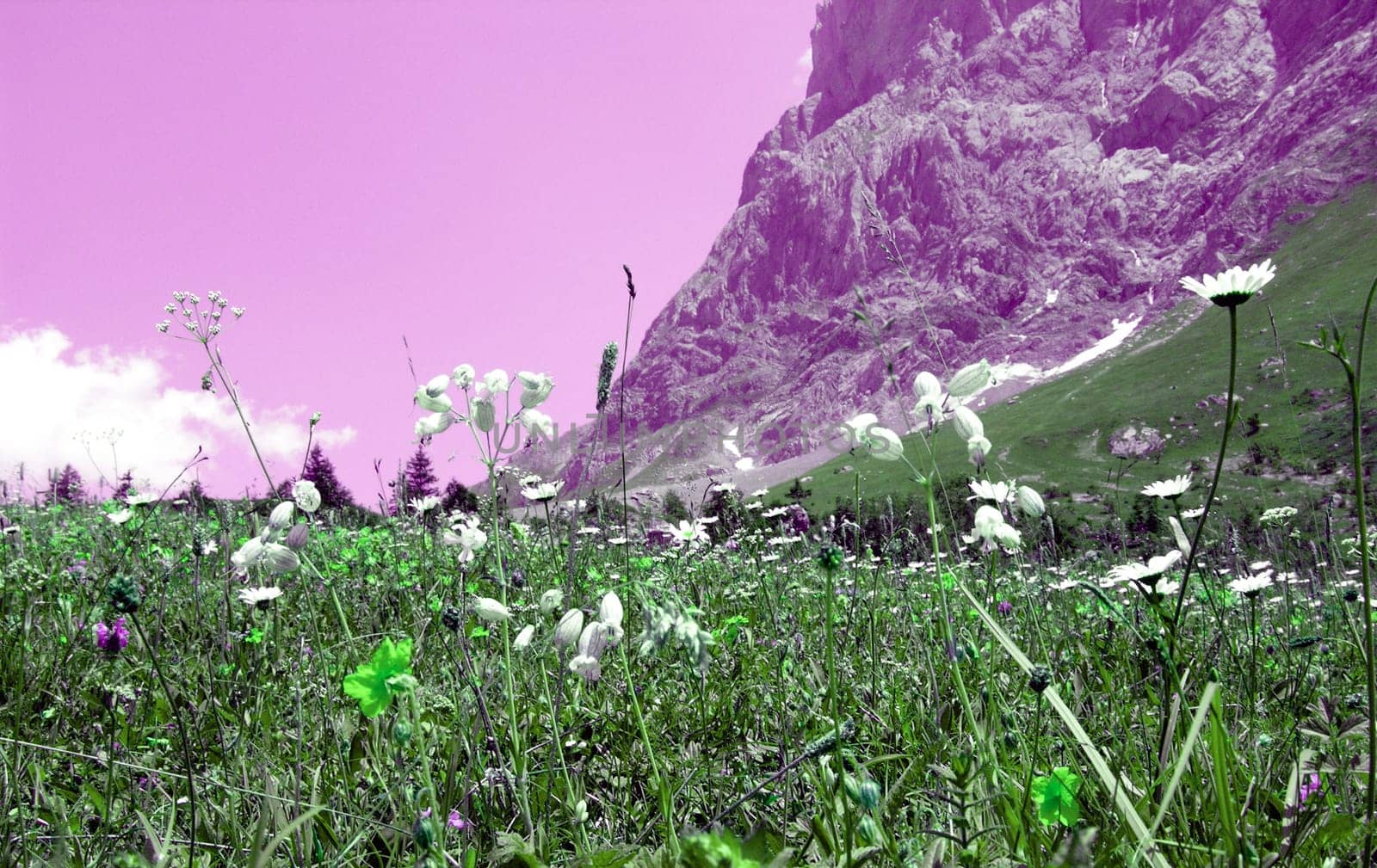 On the way to Gleicksteinhütte,Bernese Oberland
