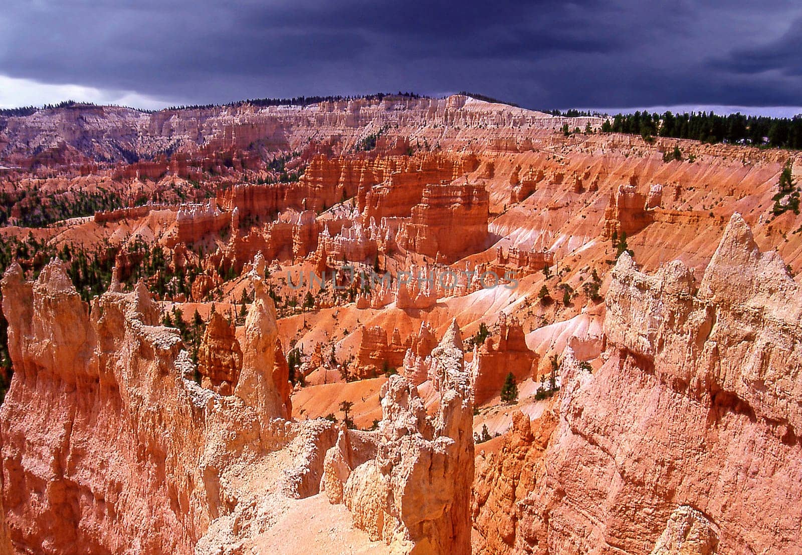 Bryce Canyon Paria View