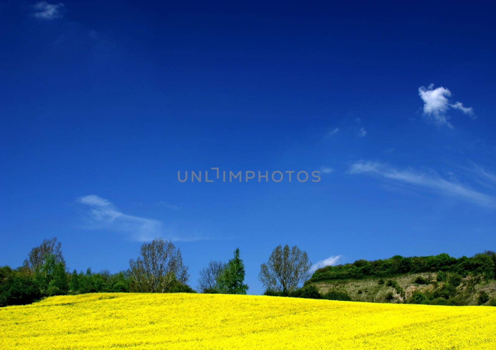 blue and yellow