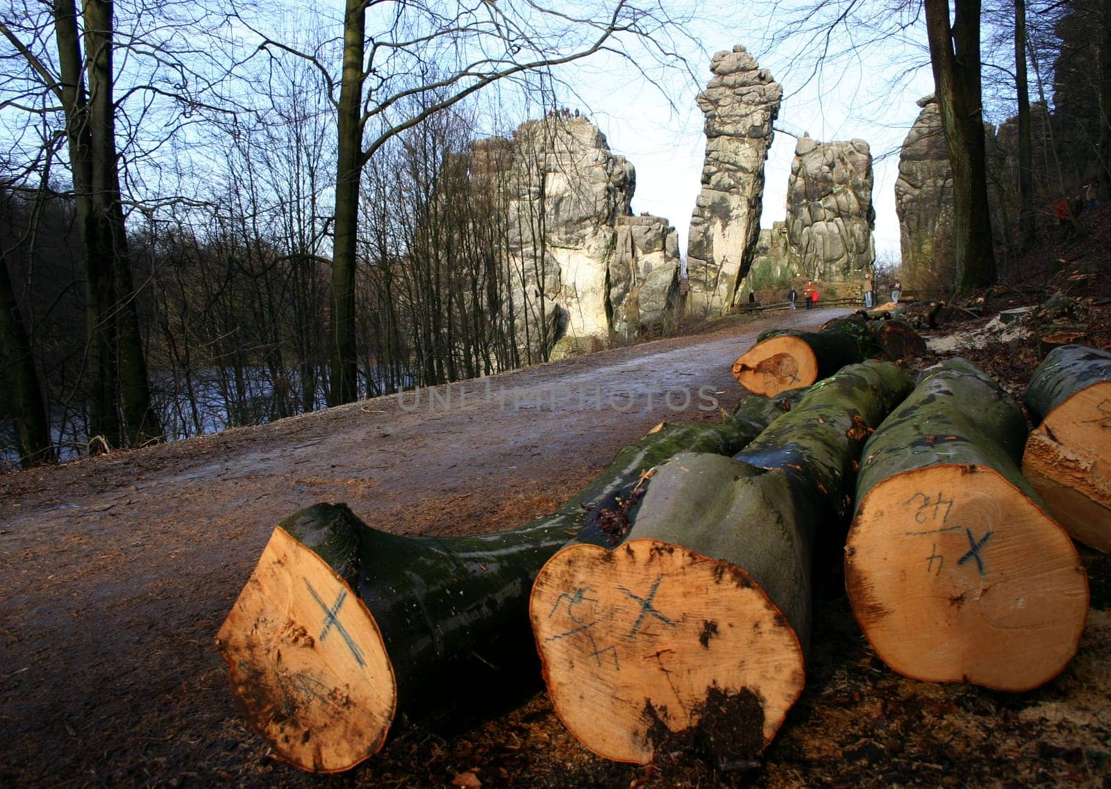 Around the Externsteine...