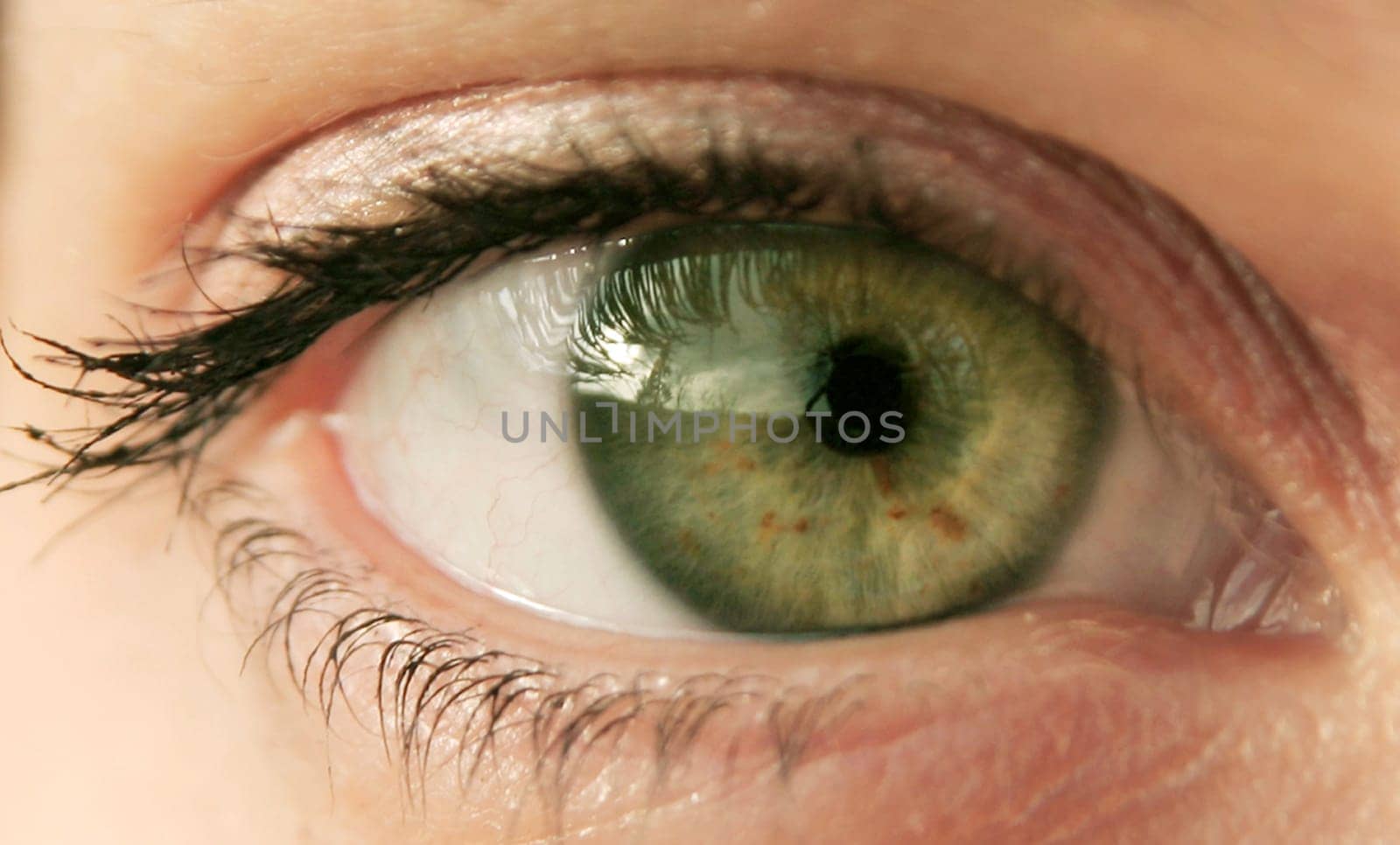 The Eye
