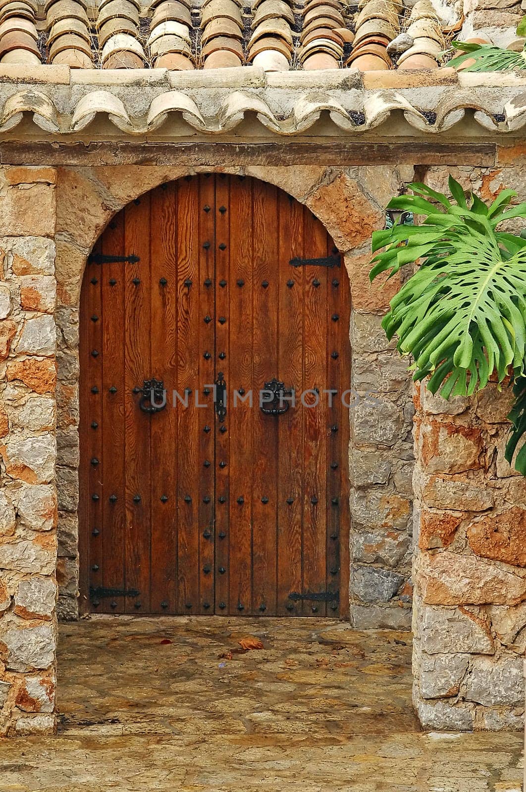 Door in Valldemossa,Mallorca
