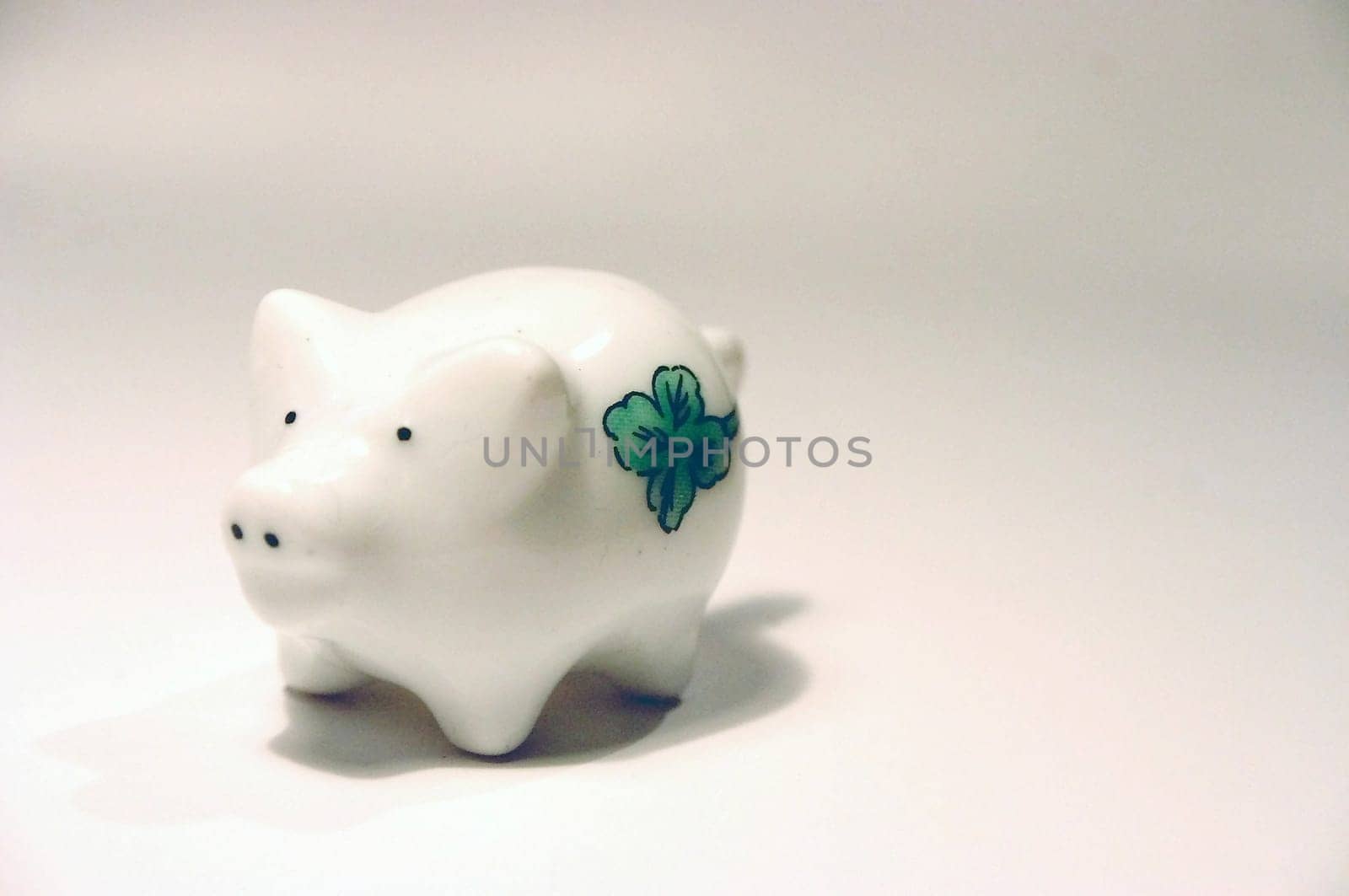 Lucky Pig