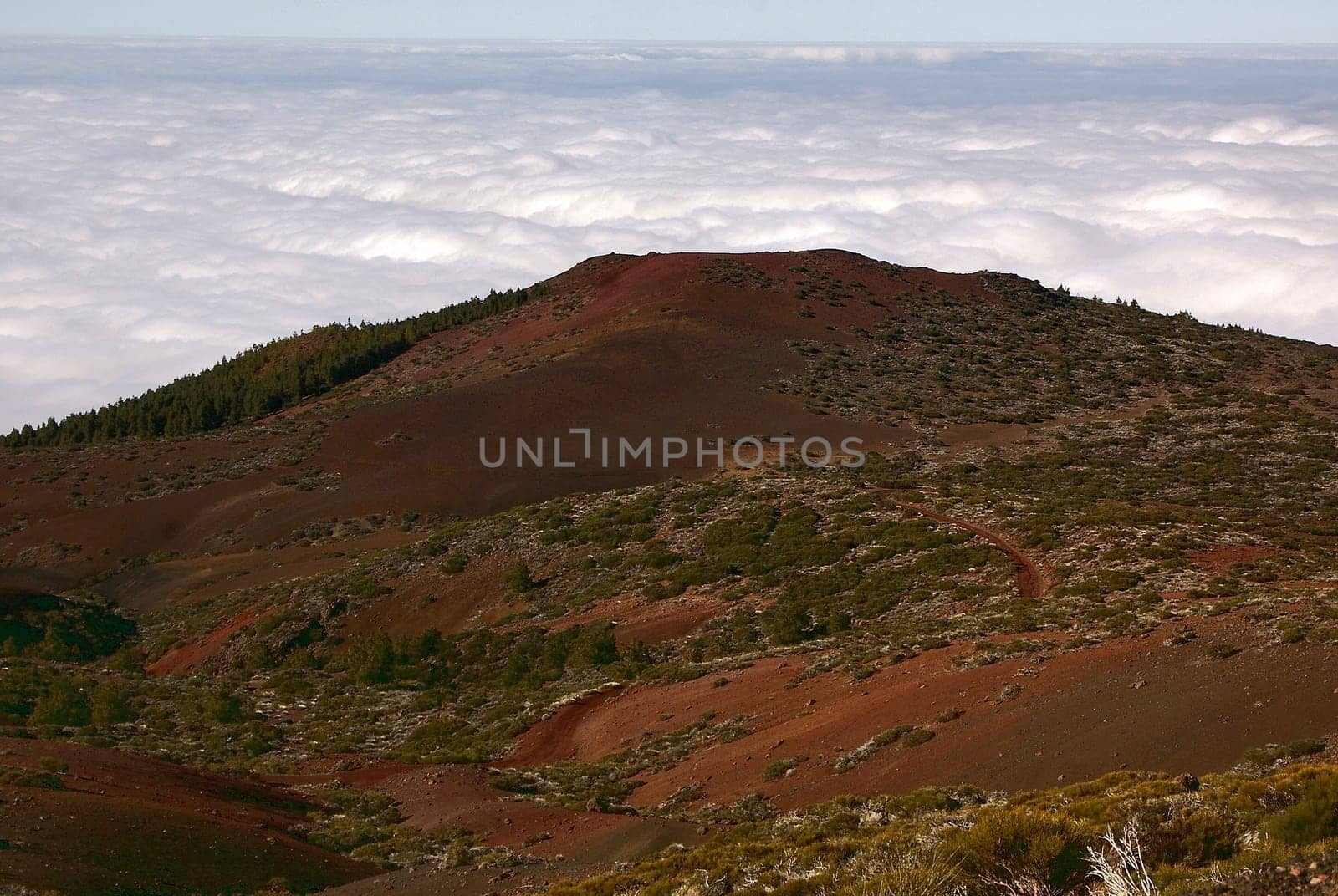 Above the clouds
