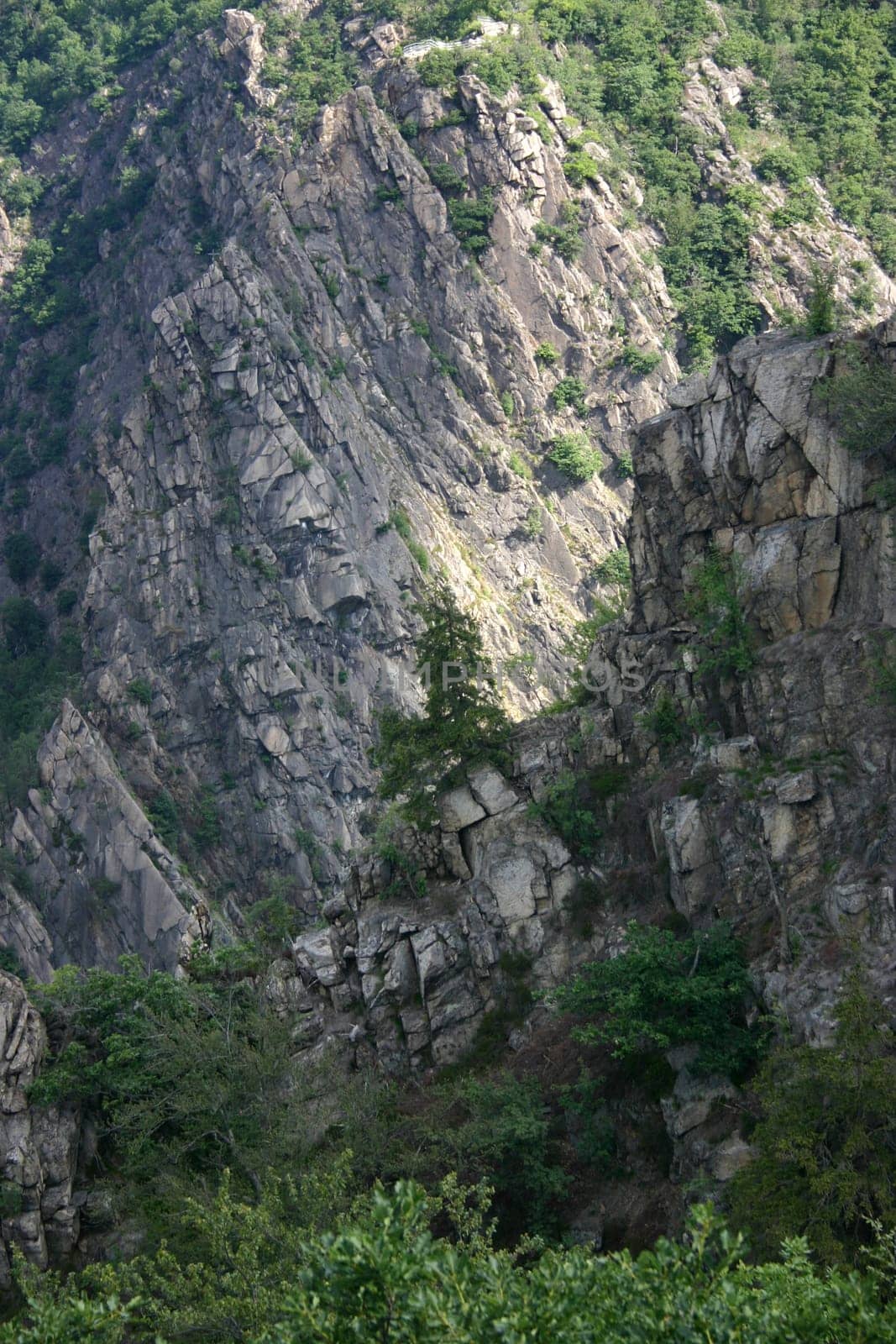The wild and romantic Bode Valley in the Harz Mountains near Thale