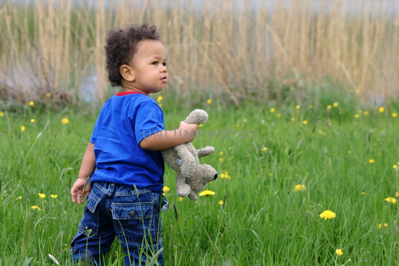 My Teddy