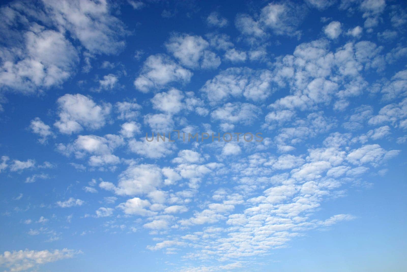 Cloudy summer sky