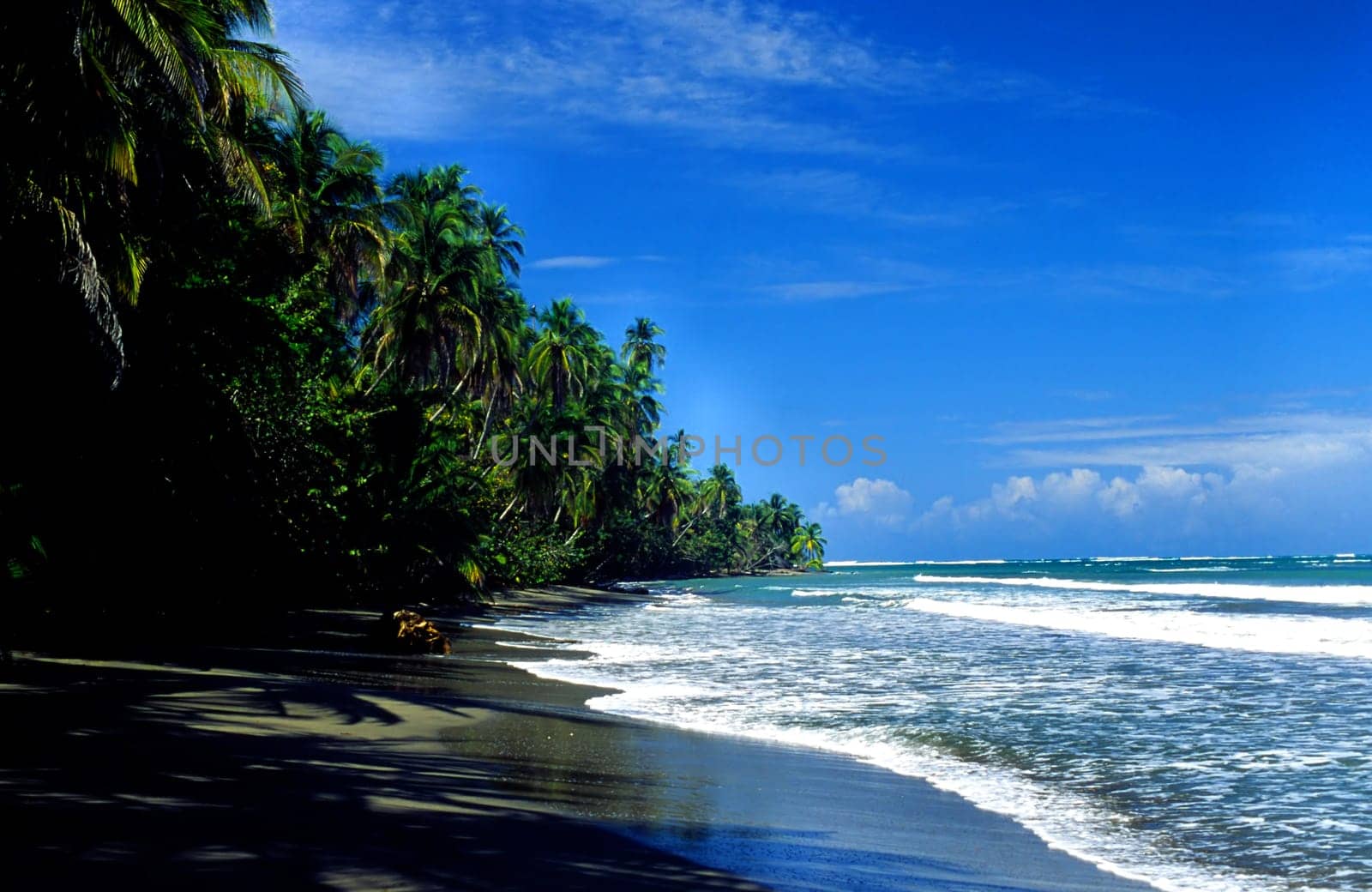 Cahuita National Park,Costa Rica