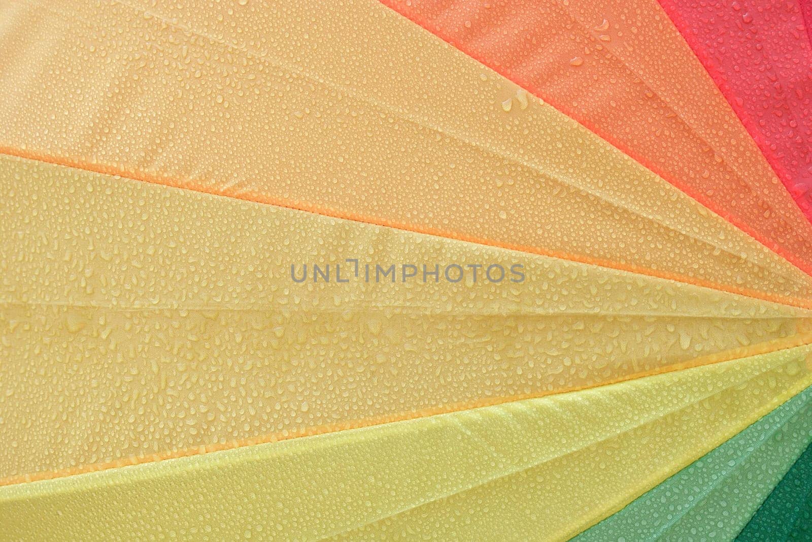 Wet and colorful