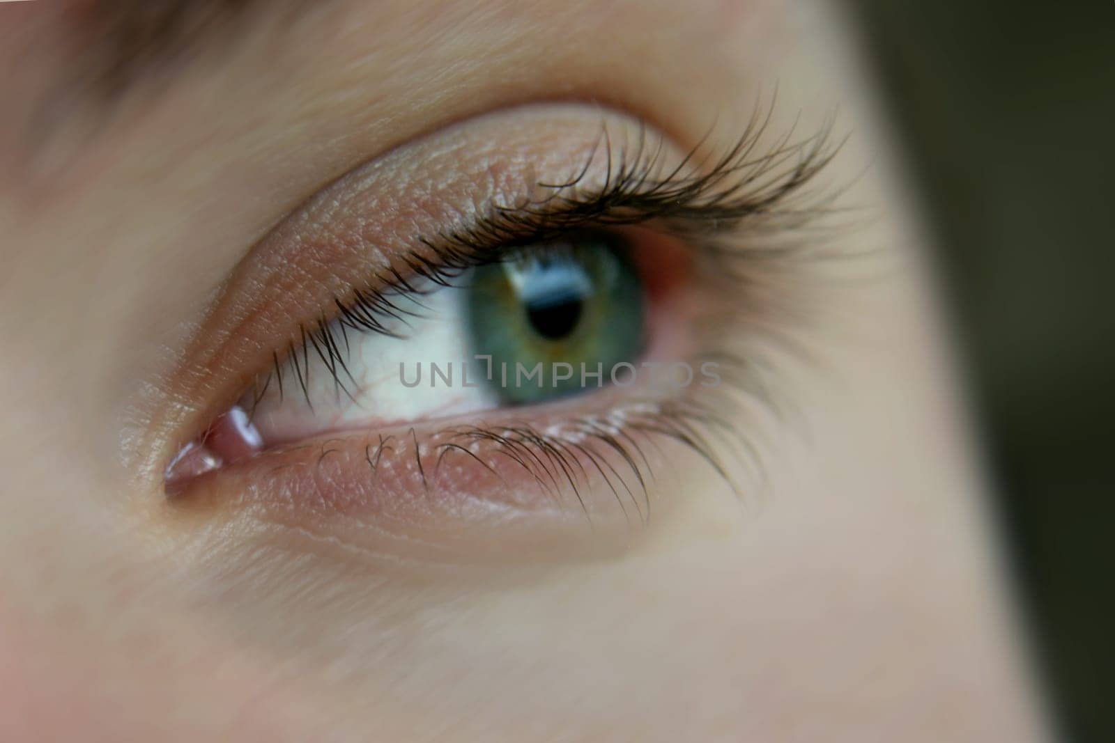 In Focus