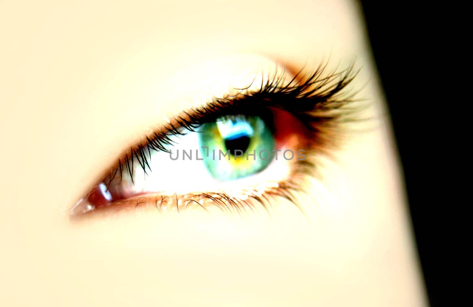 Beautiful eyelashes