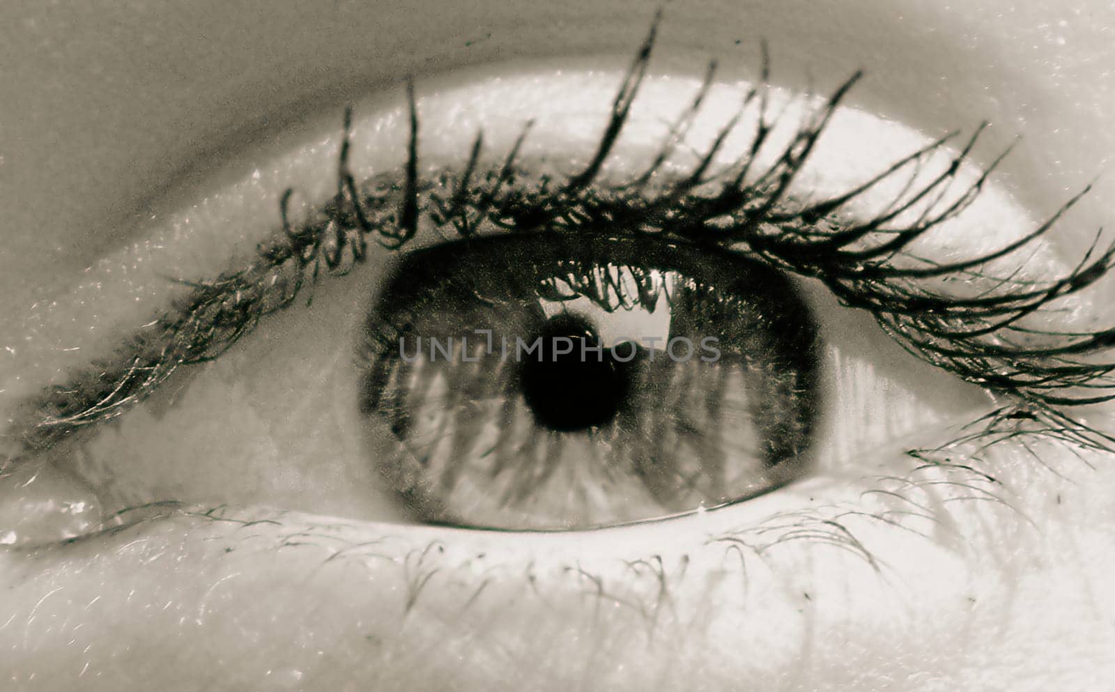 I've got my eye on you