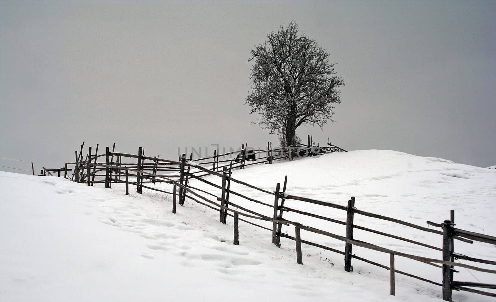 winter or winter snow or winter ice or winter deep snow
