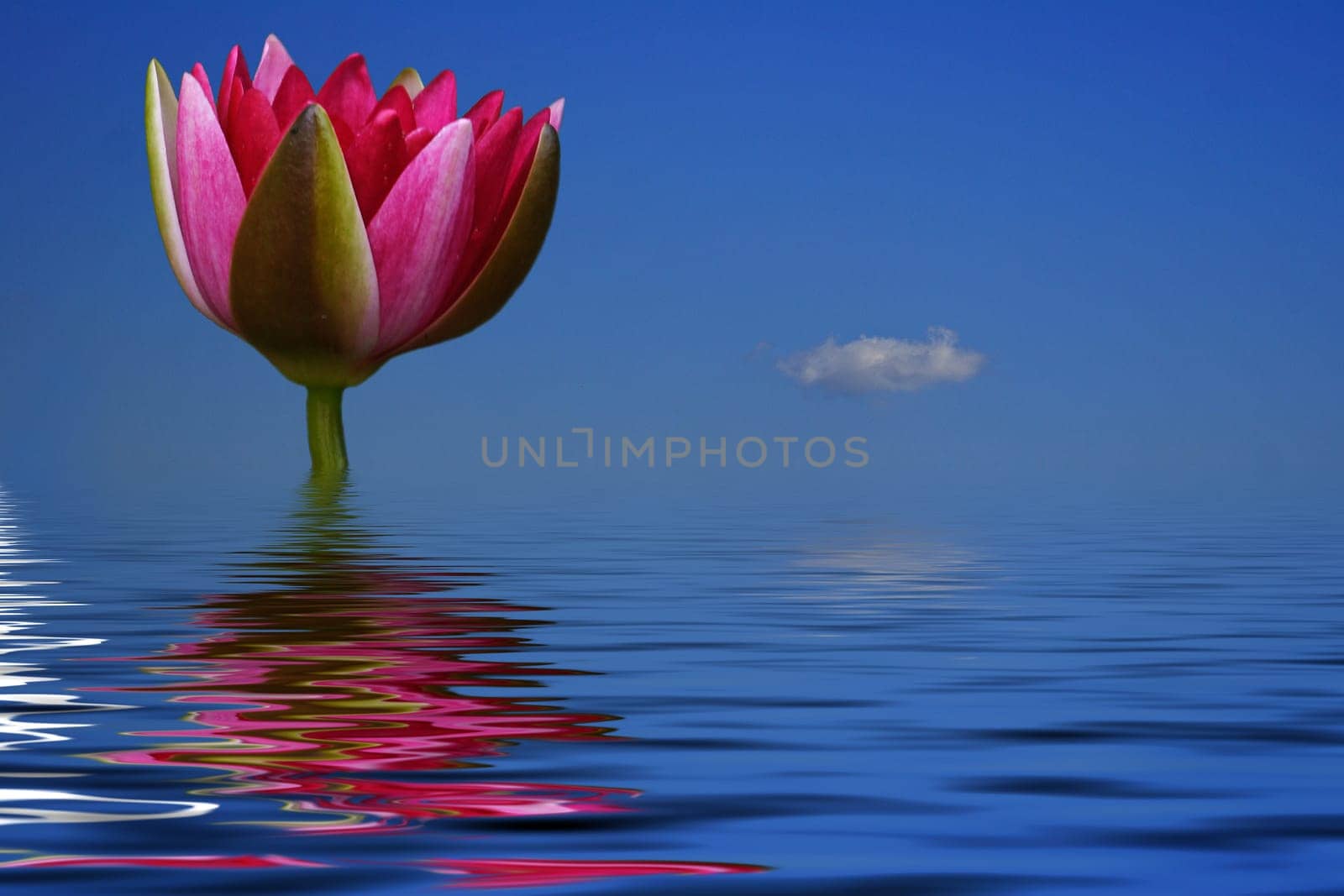 Illusion