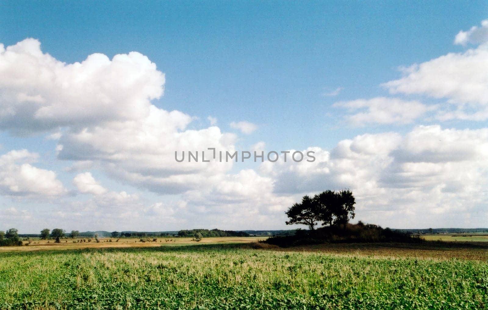 Heaven and meadow